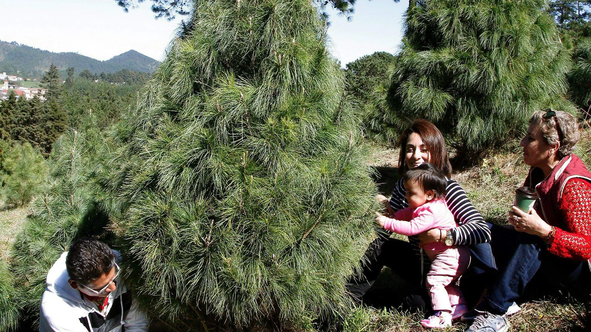 bosque ciclo verde 4